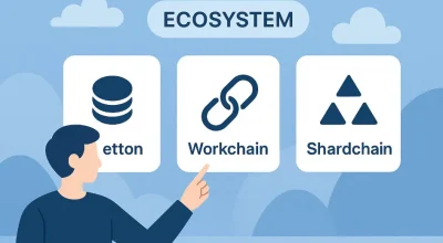 Термины экосистемы TON: словарь пользователя (Jetton, Workchain, Shardchain)